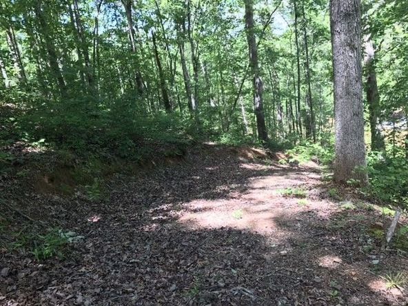 0 Mandy Drive, Wedowee, AL 36278